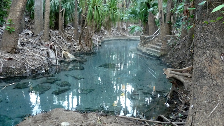 Pool bei Mataranka